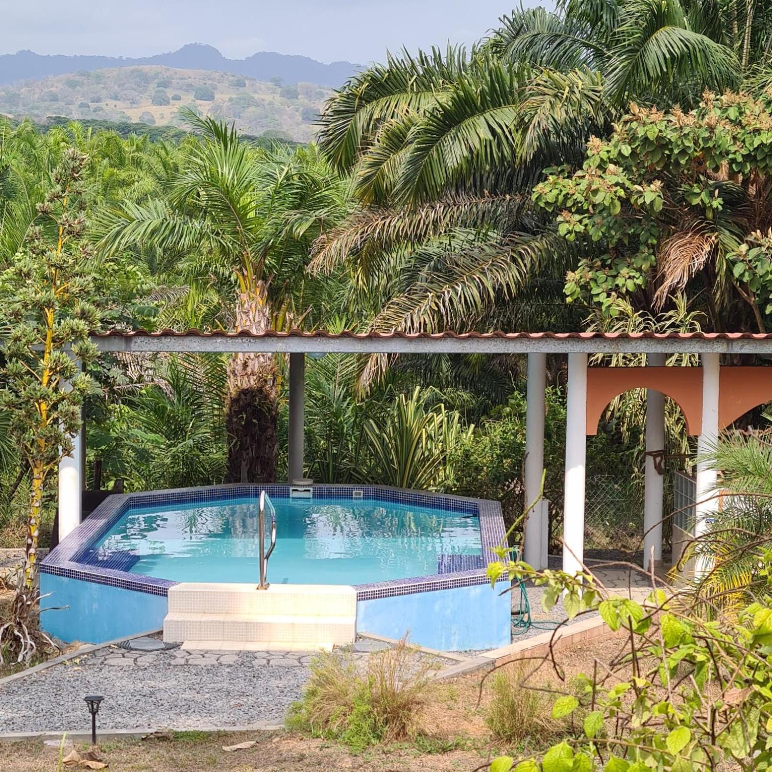 Magic Mountain Lodge Las Lajas  Exterior photo